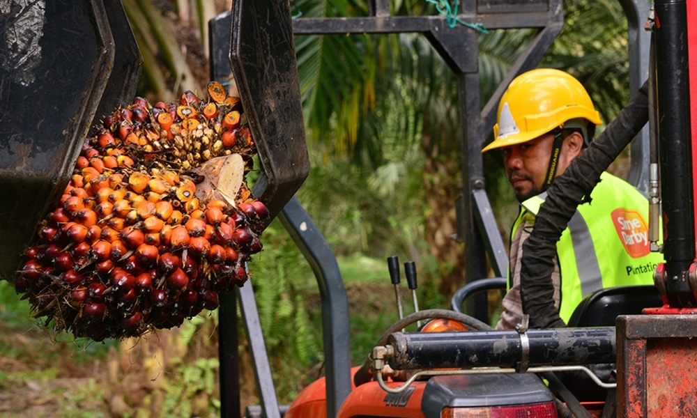 Jawatan Kosong Sime Darby